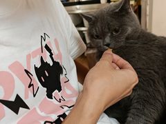 -春笙食堂.丼饭拉面寿司(GOGO新天地店)