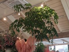 -春暖花开(西溪店)