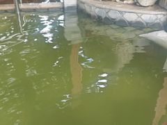 -碧水湾温泉