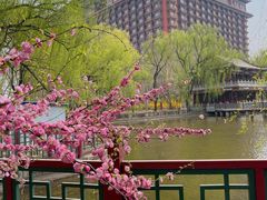 -大明幻境第一城