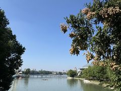 -Beans Solo豆号咖啡(百家湖花园店)