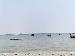 -北海金海湾红树林生态旅游区