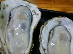 炊蚝-大富蚝乌东哥饭店·石锅鱼杂·柠檬鸭(革新路店)