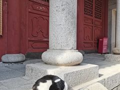 -崂山仰口游览区