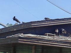 -太原动物园