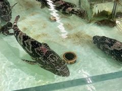 -兴龙广缘超市(奥体中心店)