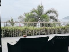 -日落吧·海景咖啡厅·餐酒吧·鸡尾酒·下午茶·乐队表演·浪漫夕阳·三亚文华东方酒店