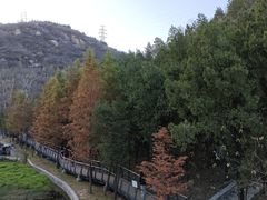 -白水寺森林公园