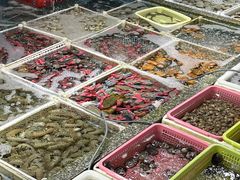 -霞涌市场海鲜摆卖区