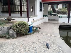 -舜耕山庄四时万和自助餐厅