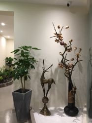 -康颜SPA自然疗愈皮肤管理中心