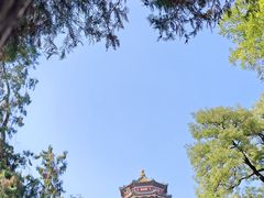 -颐和园