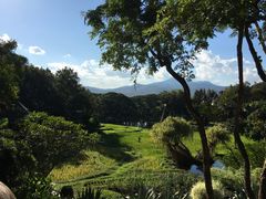 -四季酒店下午茶