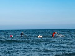 -日照海滨国家森林公园