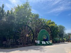 -呀路古热带植物园