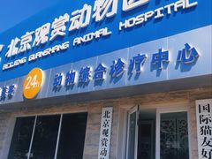 -北京观赏动物医院·24小时大型综合·猫专科·异宠专科