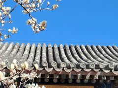 -颐和园