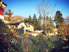 -塔川景区