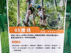 -天鹿湖森林公园