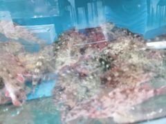 -渔中舟海鲜大排档(普陀沈家门店)