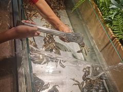 -欢乐牧场海鲜烤肉自助(牡丹园店)