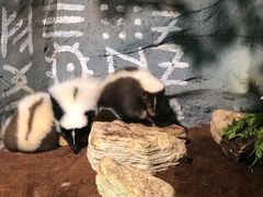 -壹盏灯(惠农店)