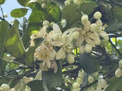 -唐崖土司城遗址