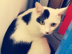 -菠萝格斗巴西柔术训练馆