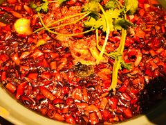 蓉城水煮鱼小锅-周渝食惦·酸菜鱼精致川菜(横岗店)
