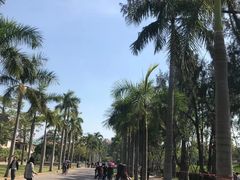 -厦门大学(思明校区)