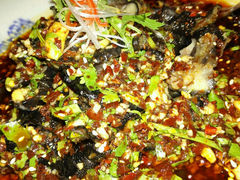 android_upload_pic-天山醉美辣子鸡(文艺路店)