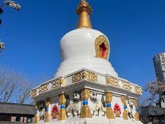-护国法轮寺