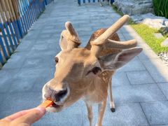 -扬州瘦西湖温泉
