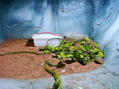 -西安秦岭野生动物园