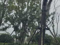 -灵秀公园