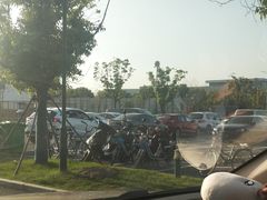 -芜湖新华联大白鲸海洋公园