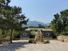 -阳台山自然风景区