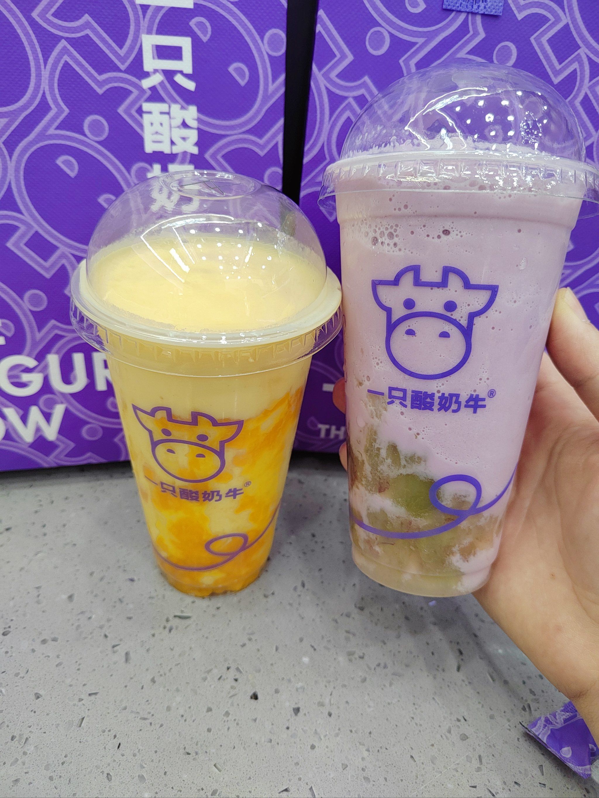 一只酸奶牛,打开味蕾新世界