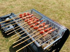 -春花秋色城市公园