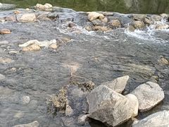 -白河湾生态旅游一条川