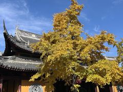 -龙华素斋(龙华路店)