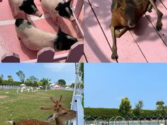 -渔岛海洋度假区