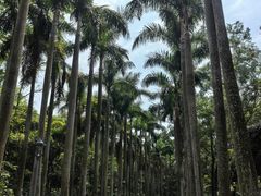 -广东茂名森林公园