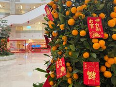 -厦门市图书馆(集美新城馆区)