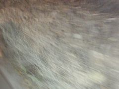 -长春公园(普阳街道)