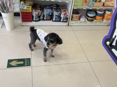 -悦宠凯宝动物医院·牙科·皮肤科(朝阳北路店)