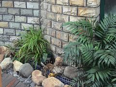 -慢丽江·云南野生菌土鸡锅(付家庄店)