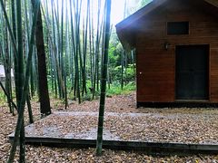 -苏州河梦清园环保主题公园