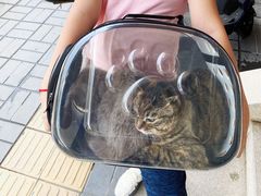 -纳吉亚猫专科动物医院博雅分院