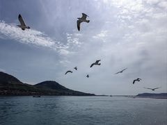 -长岛南北长山旅游景区
